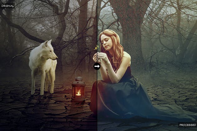 10款丛林大自然摄影照片后期处理LR预设合集 10 Into The Jungle Lightroom Presets插图(4)