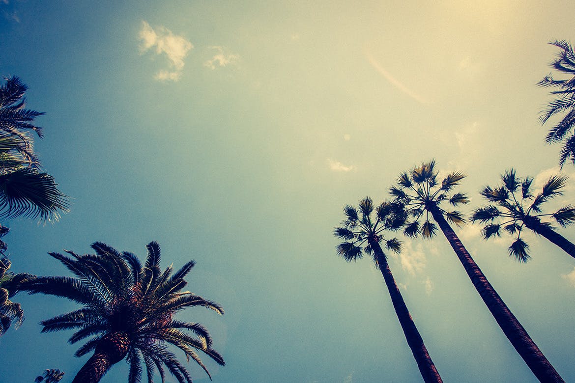 一款复古交叉冲洗效果的照片生成PS预设工具 Cross Processing – Photoshop Development Room插图(4)