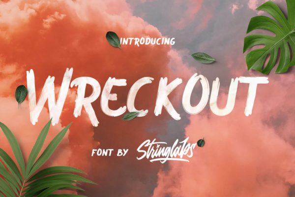 英文装饰艺术笔刷字体素材库精选 Wreckout – Decorative Brush Font