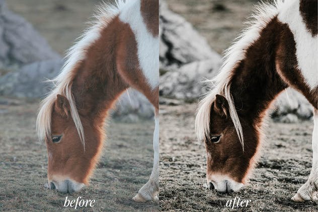 去饱和调色照片效果处理LR预设 Bleached Lightroom Mobile Presets插图(2)