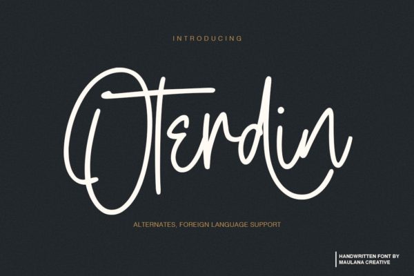 钢笔签名风格英文手写字体素材库精选 Oterdin – Handwritten Font
