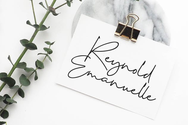 钢笔签名英文手写书法字体下载 Cervanttis Signature Script插图(4)