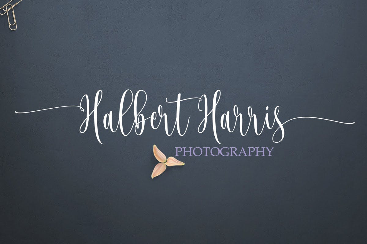 梦幻连笔英文书法字体 Josephira Fancy Script Font插图(2)