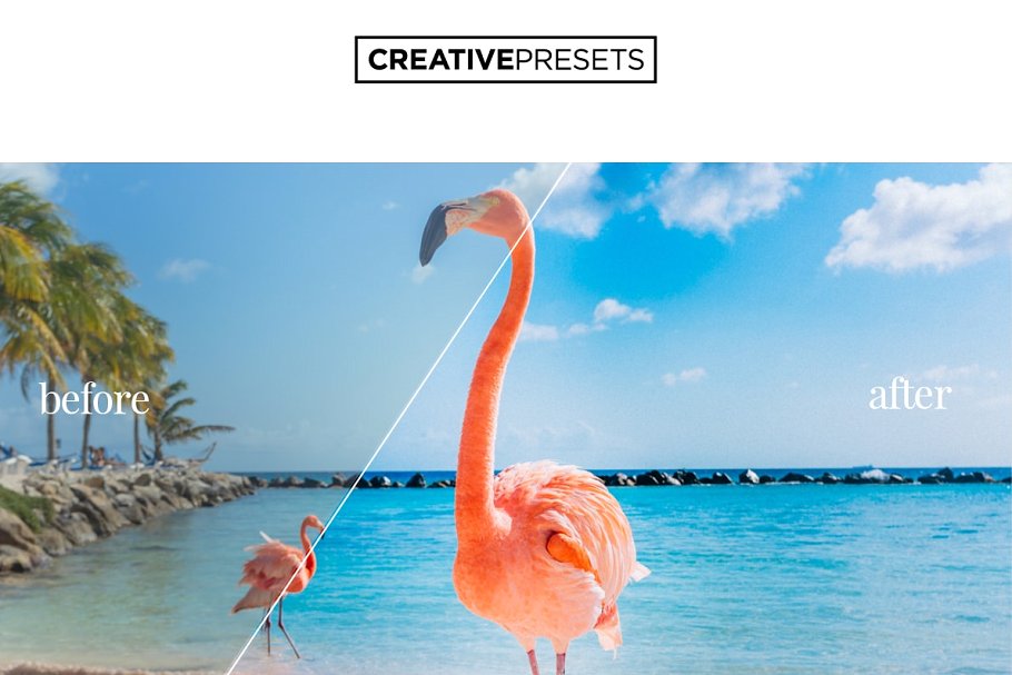 色彩增强色彩风景照片调色滤镜LR预设 Rich Vivid Film Lightroom Presets插图(8)