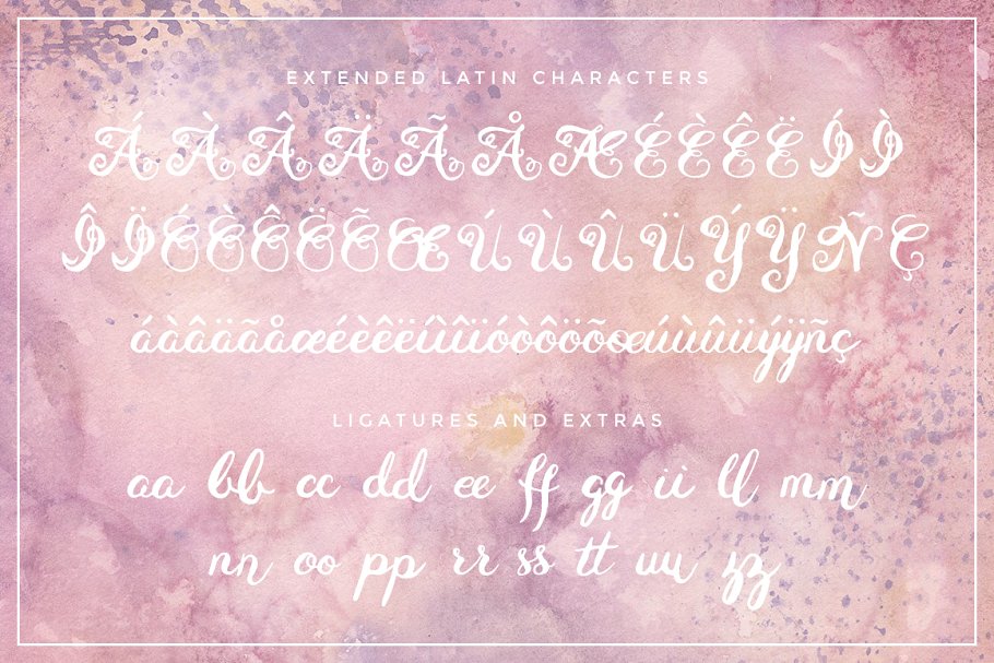 独特华丽法国浪漫主义英文手写字体 Eiffell Brush Script Font + Extras插图(2)