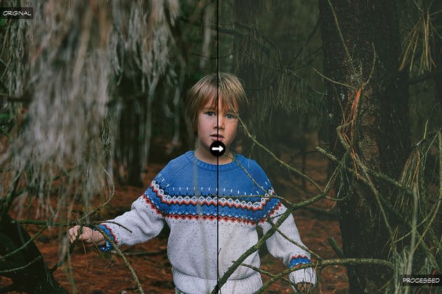 10款丛林大自然摄影照片后期处理LR预设合集 10 Into The Jungle Lightroom Presets插图(1)