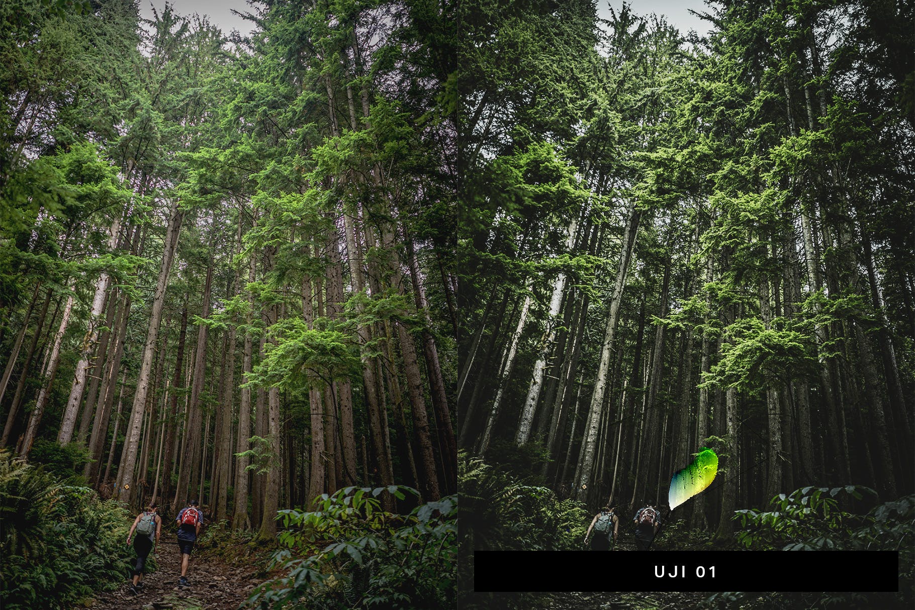 50款绿色背景摄影后期调色处理素材库精选LR预设 50 Matcha Lightroom Presets and LUTs插图(3)