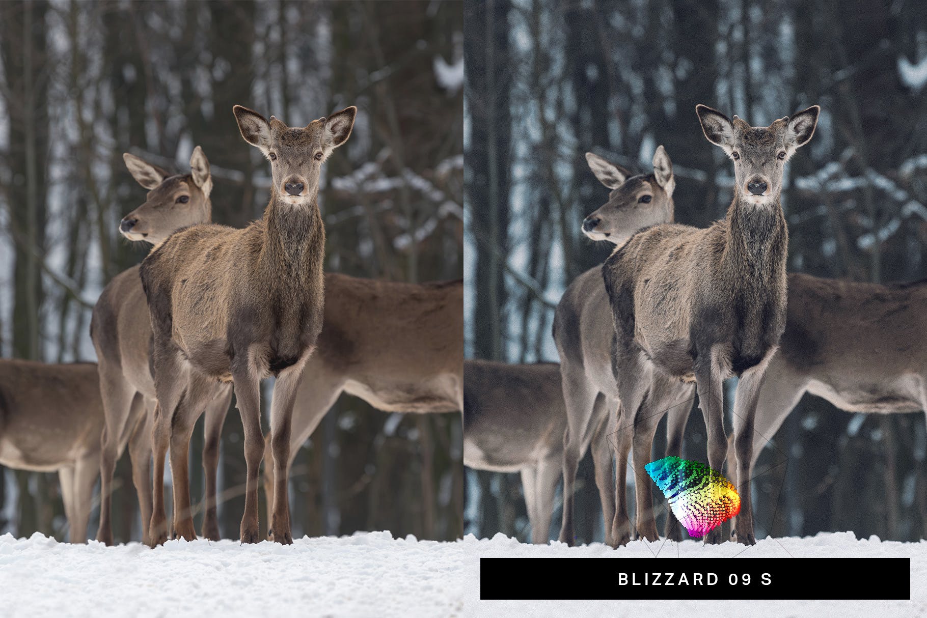 50款充满色彩的冬季风景照片LR调色预设合集 50 Winter Snowscape Lightroom Presets and LUTs插图(2)