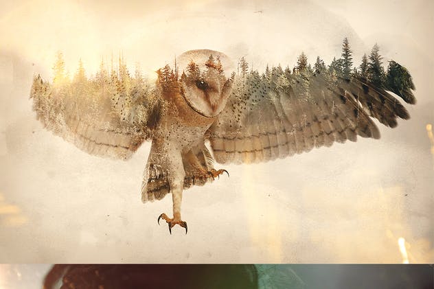 炫酷双重曝光海报照片特效PS动作 Double Exposure Photoshop Actions插图(8)