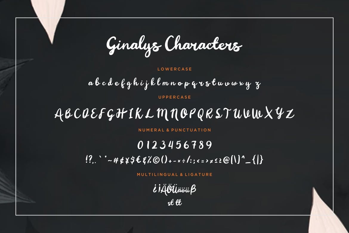 英文画笔粗笔画书法字体 Ginalys Bold Brush插图(6)