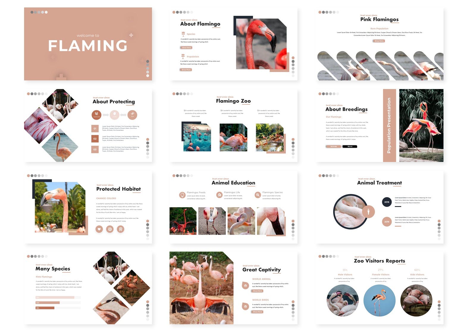 行业市场分析报告PPT设计模板 Flaming – Powerpoint Template插图(1)