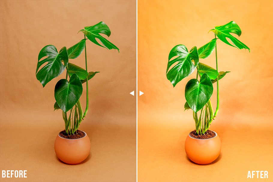 30个时尚产品摄影Lightroom预设插图(7)