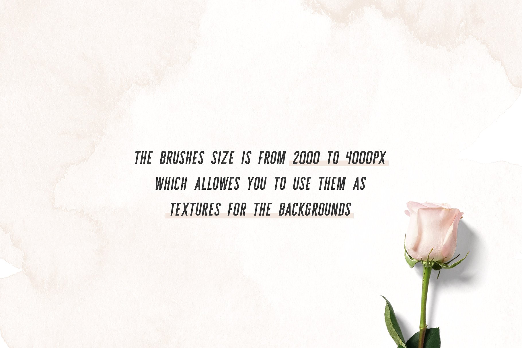 水彩笔画PS笔刷合集 Aurora Brushes Collection插图(5)