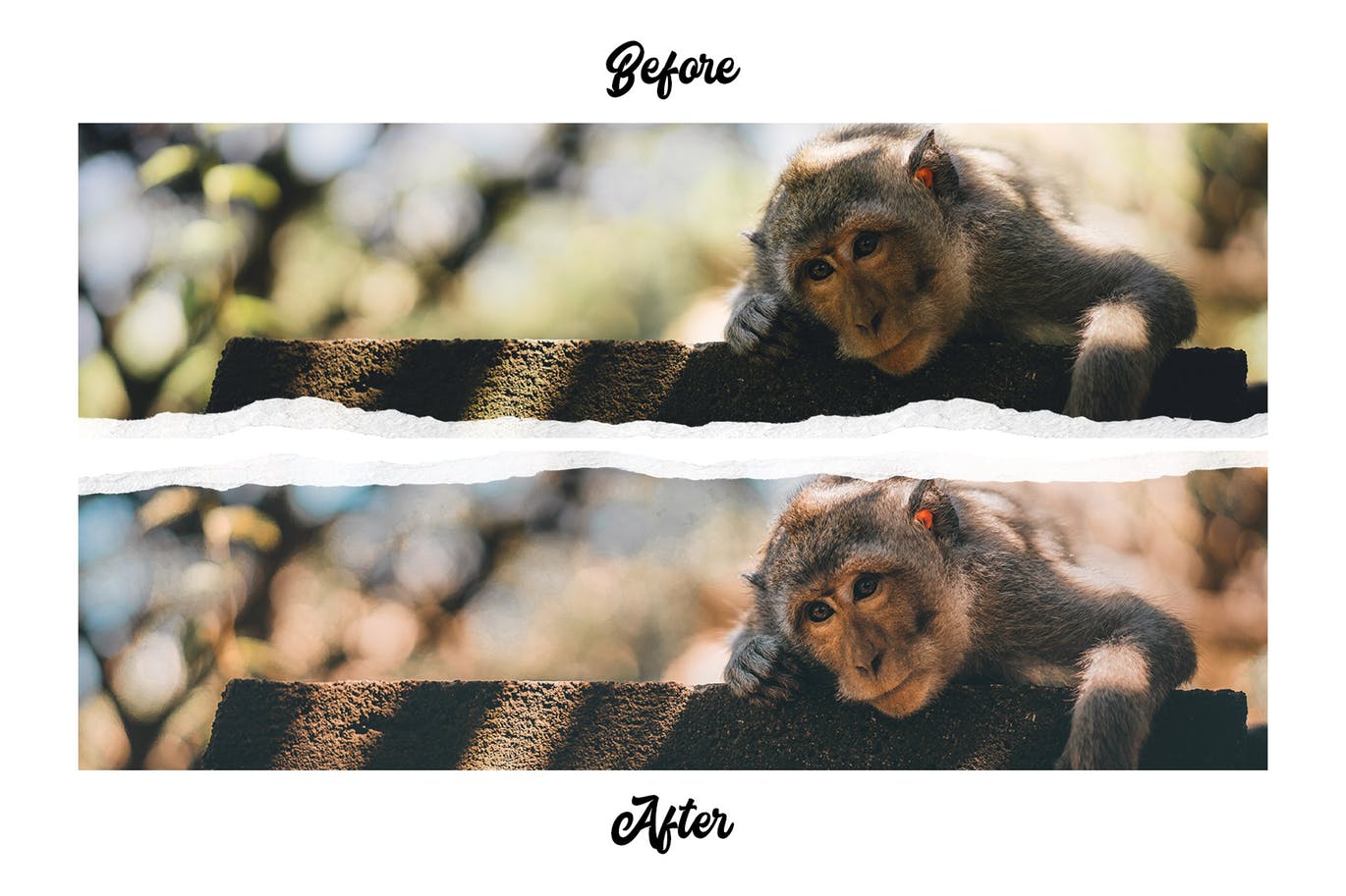 博主必备的生活&旅行照片调色滤镜素材库精选LR预设v3 Influencer & Blogger Vol. 3插图(7)