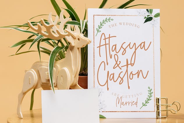 优雅签名书法英文字体 The Gwathmey Signature Script插图(4)