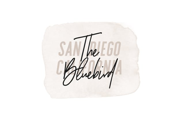 水彩画笔/图案PS笔刷合集 Aurora Watercolor Brushes Collection插图(2)