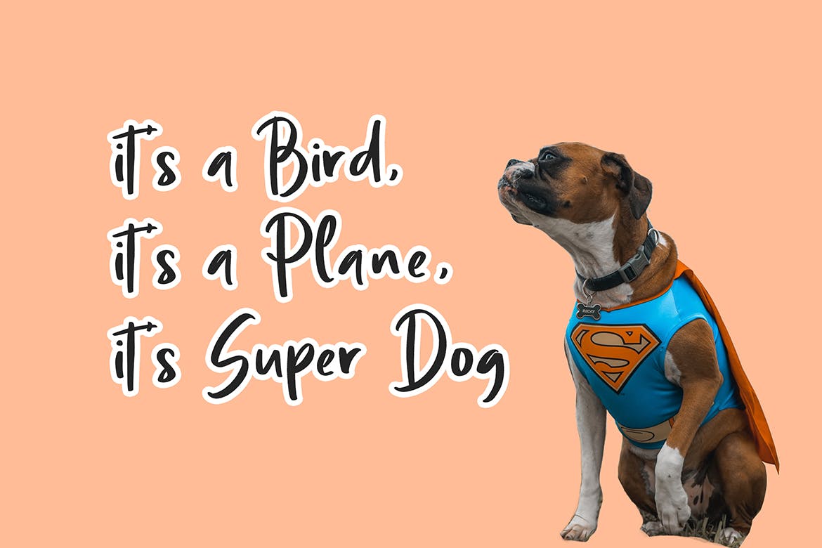 儿童主题设计英文手写字体素材库精选 Mogie Cute and Amazing Display Font插图(5)