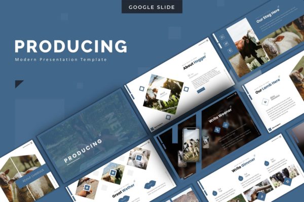 养殖业/牧场宣传谷歌幻灯片设计模板 Producing – Google Slides Template