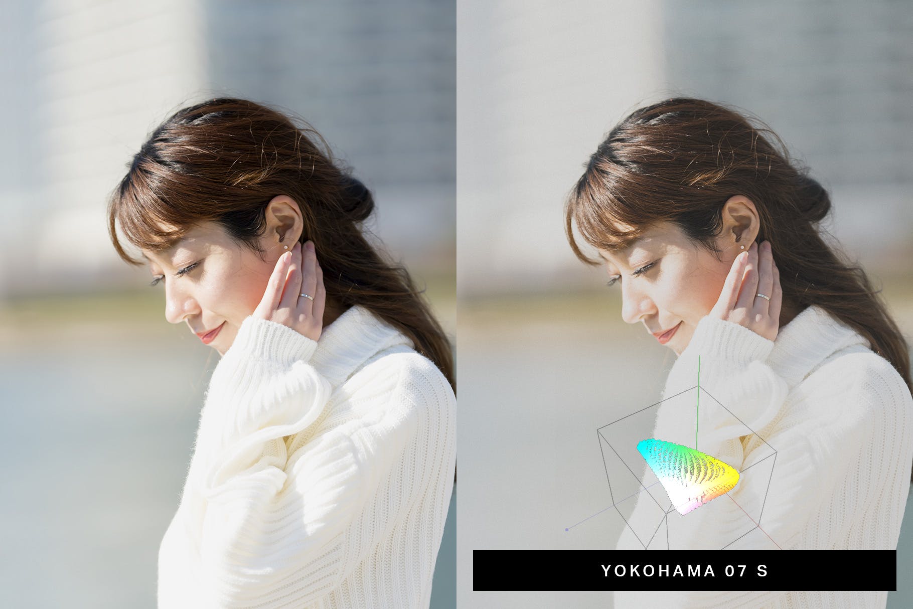 50款日本风格摄影Lightroom调色预设 50 Japan Mood Lightroom Presets LUTs插图(5)