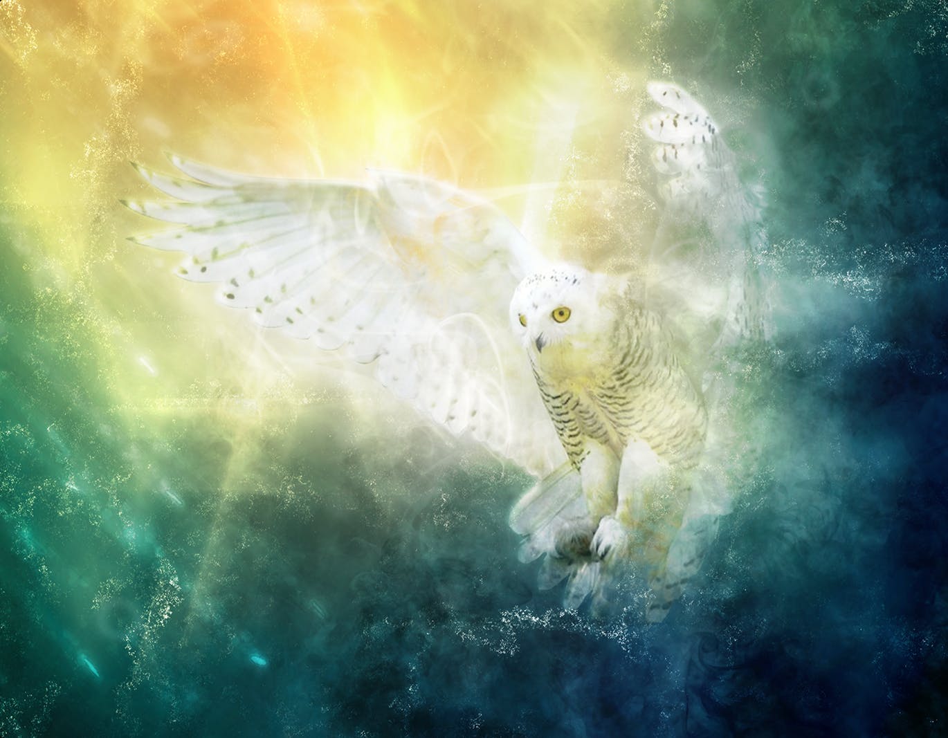 给照片添加梦幻焰火特效PS动作下载 Rebirth CS4+ Photoshop Action插图(3)