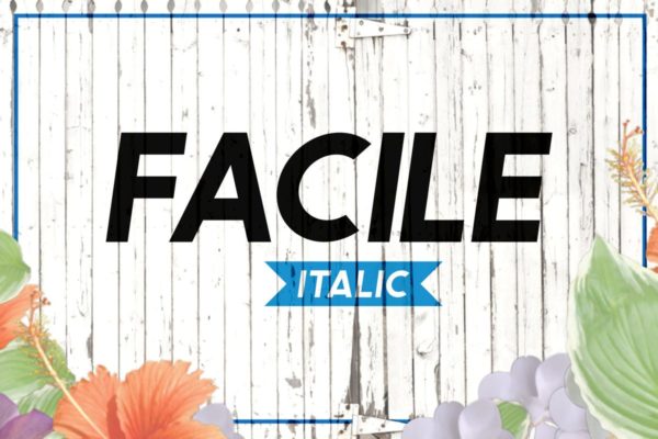 简单，大胆＆俏皮无衬线英文字体 Facile Italic