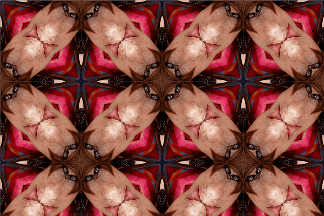 有趣的万花筒特效PSD分层模板 Kaleidoscope Templates插图(3)