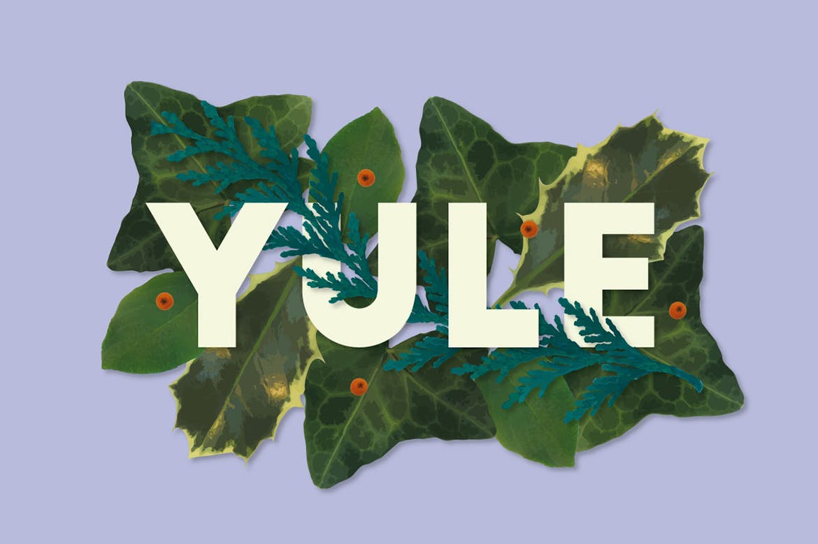 逼真植物花卉图案AI笔刷 The Vector Florist – Brushes: Winter插图(2)