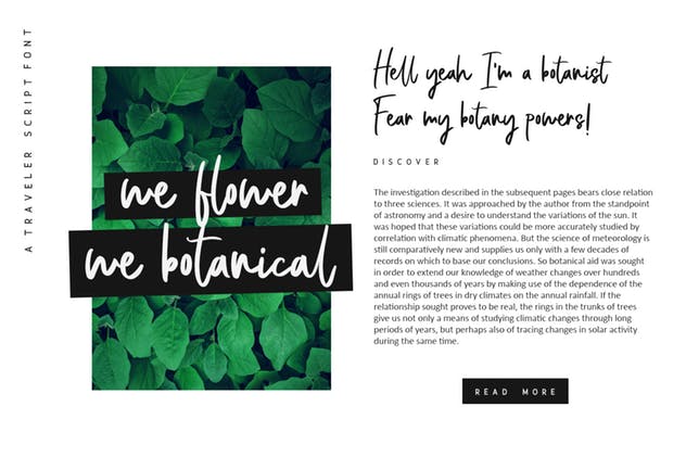 个性独特英文手写书法字体 Bellevue // A Traveler Script Font插图(4)