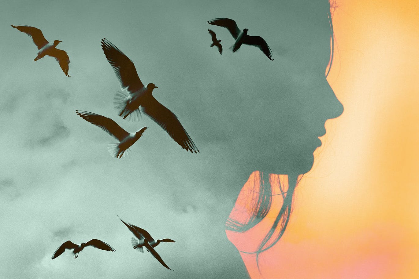 双重曝光创意艺术效果PS图层样式 Double Exposure Photoshop Effect插图(4)