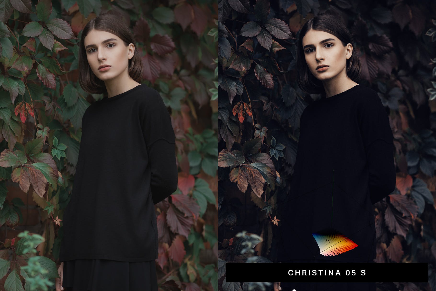 50种复古照片效果调色滤镜素材库精选LR预设 50 Retrovibe Lightroom Presets and LUTs插图(1)