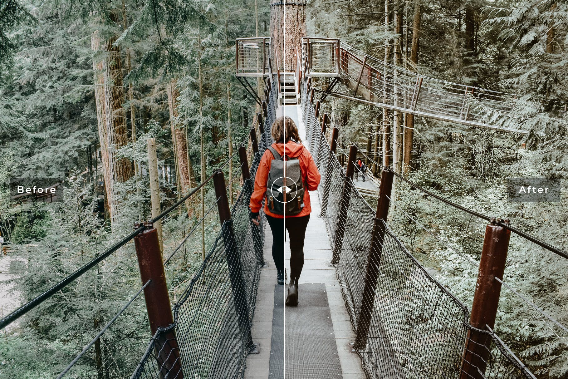 加拿大旅行摄影照片后期处理Lightroom调色预设 Vancouver Mobile & Desktop Lightroom Presets插图(2)