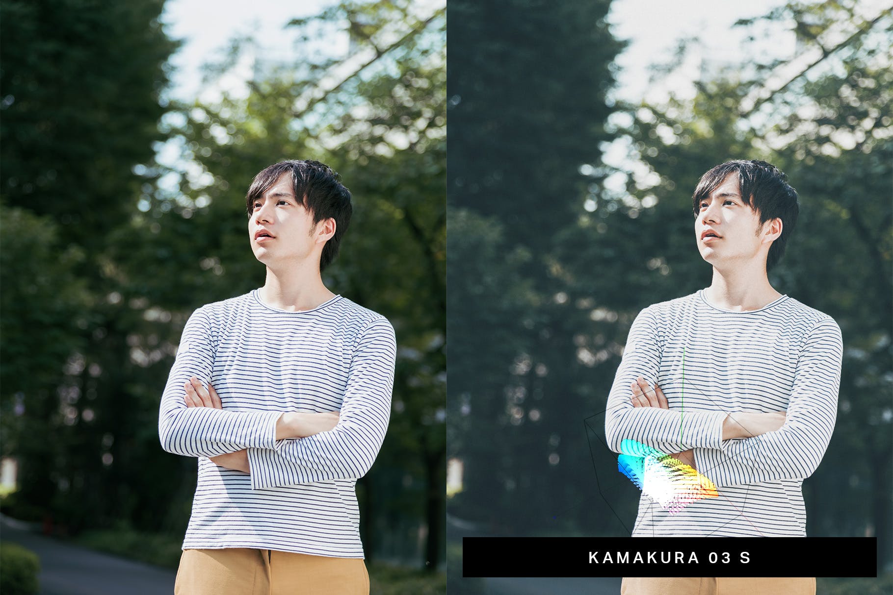 50款日本风格摄影Lightroom调色预设 50 Japan Mood Lightroom Presets LUTs插图(3)