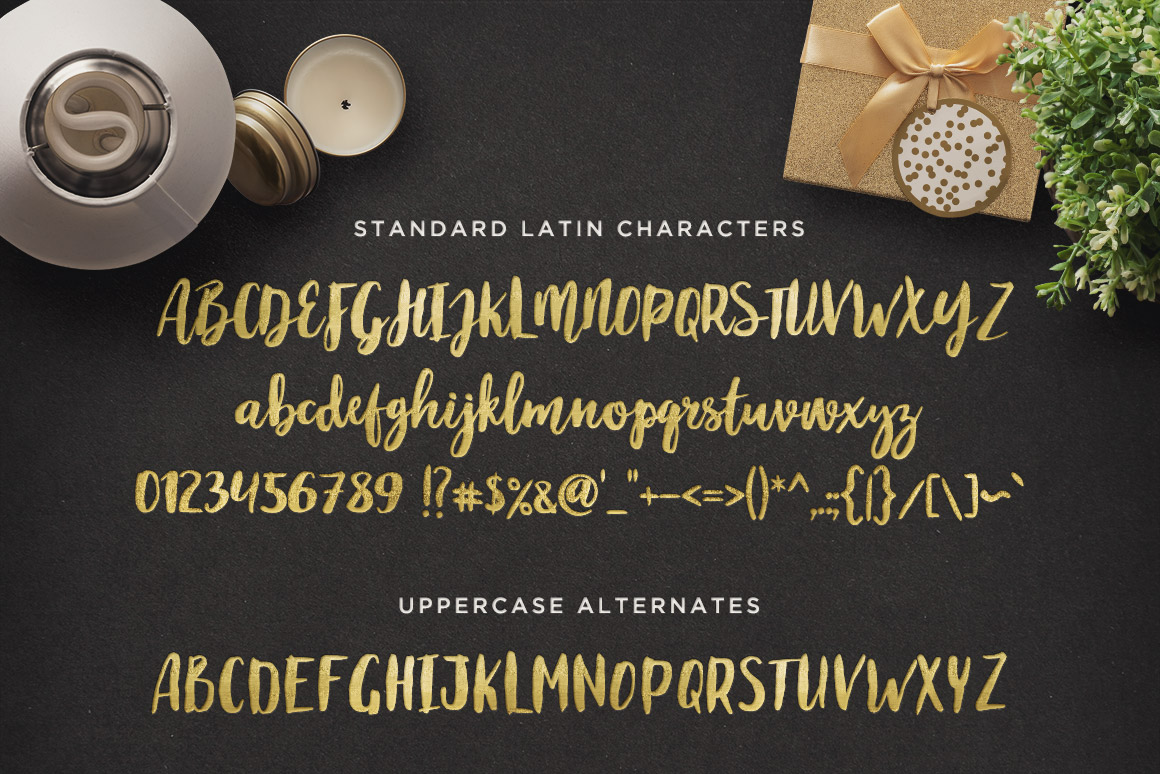 手写英文字体 Maloishe Brush Script Font(含网页字体)插图(1)