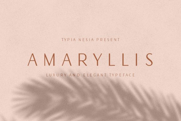 现代优雅风格英文无衬线字体 Amaryllis Sans