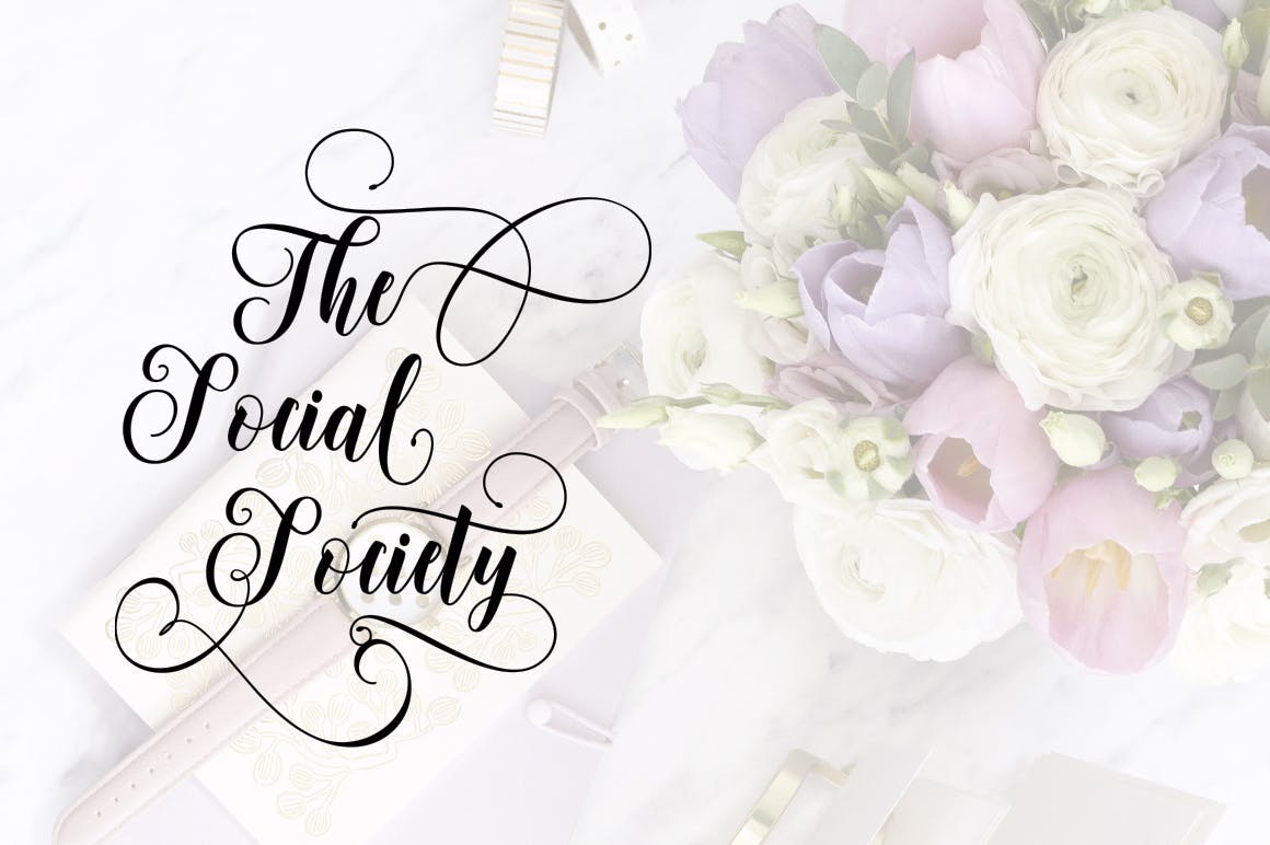 现代书法花饰连字英文手写字体下载 Metinoline Script插图(4)