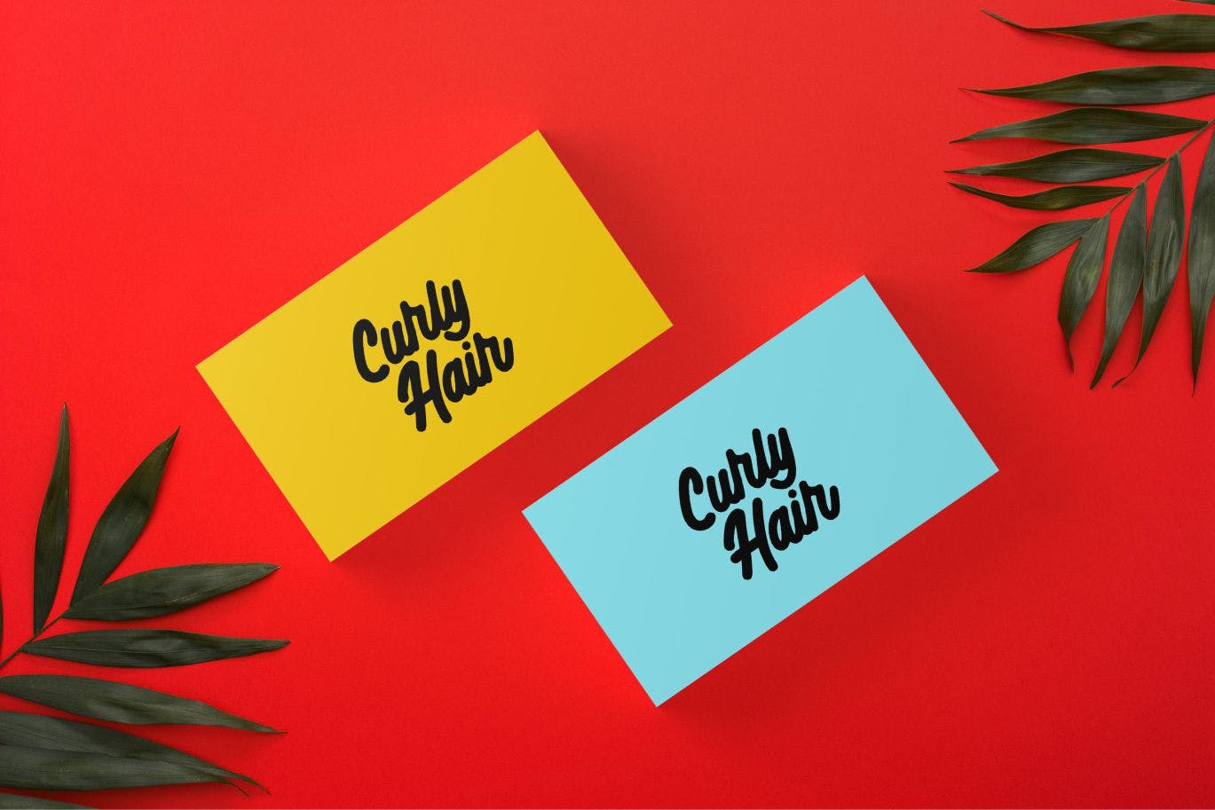 高级品牌设计英文书法字体下载 Netherlande – Elegant Script插图(3)