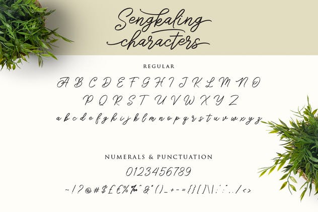 连字花式英文手写字体 Sengkaling Script插图(5)