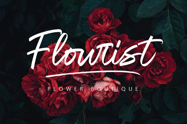 绘画画笔英文书法字体 Oregon Script MS插图(5)