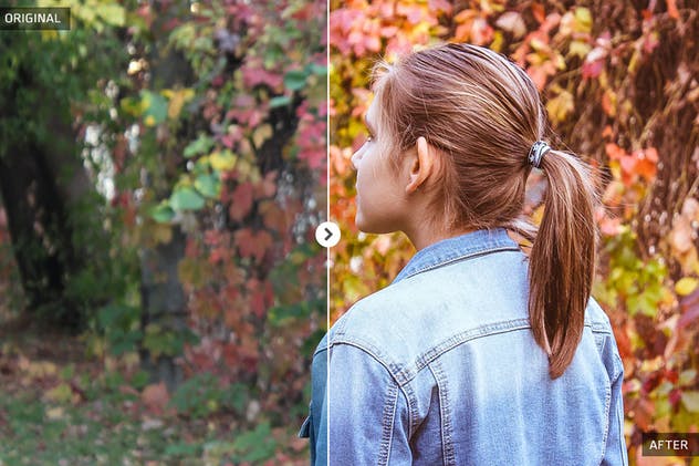 50款秋天氛围照片后期处理调色滤镜LR预设 50 Autumn Lightroom Presets插图(3)