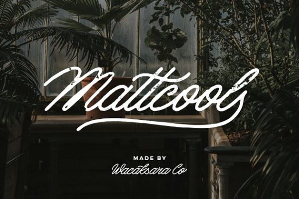 复古英文手写单线字体下载 Mattcool Script