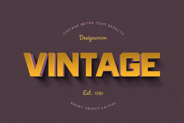 14个复古风格立体特效PS字体样式 14 Vintage Retro Text Effects插图(3)