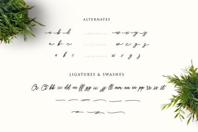 连字花式英文手写字体 Sengkaling Script插图(6)