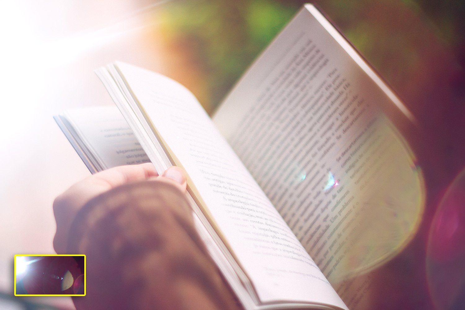 照片漏光特效模板 Sunlight-Captured Light Leaks插图(3)