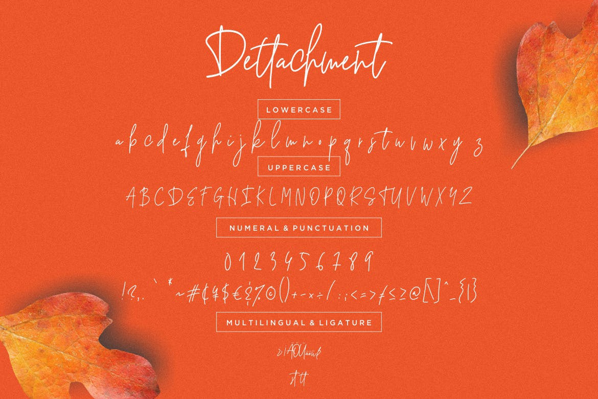 英文钢笔硬笔书法字体下载 Dettachment Handwritten插图(6)