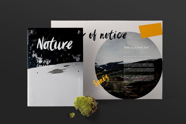 时尚/美容/食品/服装和杂志设计绝配手写英文字体 Sanös Extended Script Font插图(5)