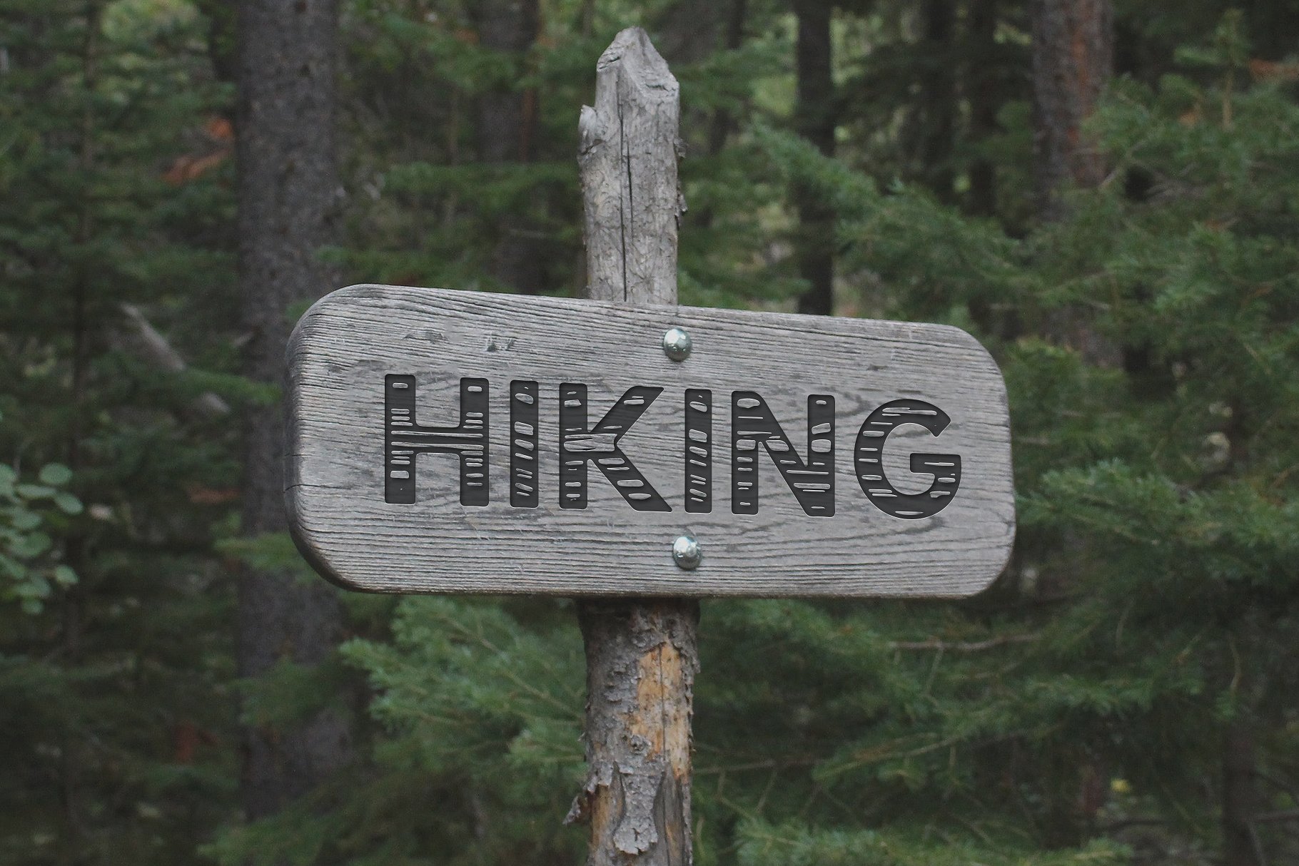 木纹无衬线英文字体 Timber Hitch Font + Nature Designs插图(8)