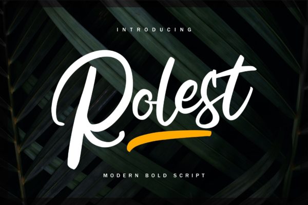 现代书法艺术英文粗体手写字体素材库精选 Rolest | Modern Bold Script Font