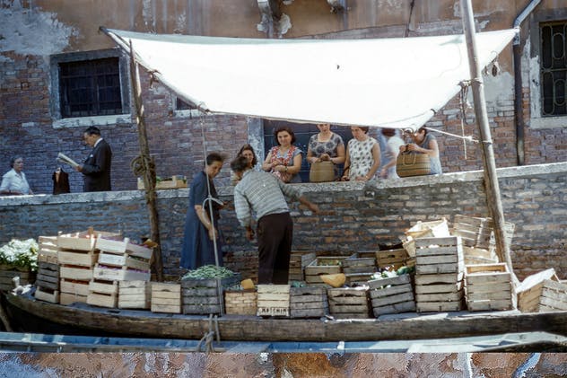 一键生成大师级逼真油画作品效果PS动作 Palette Knife Photoshop Action插图(3)