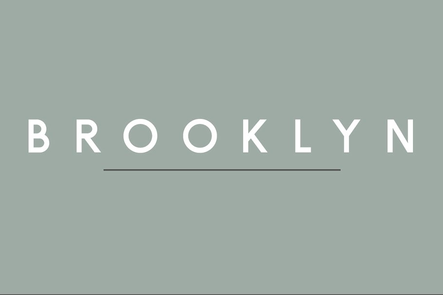 正体适合书面印刷排版的无衬线英文字体 Brooklyn | Two Weight Font Family插图(7)