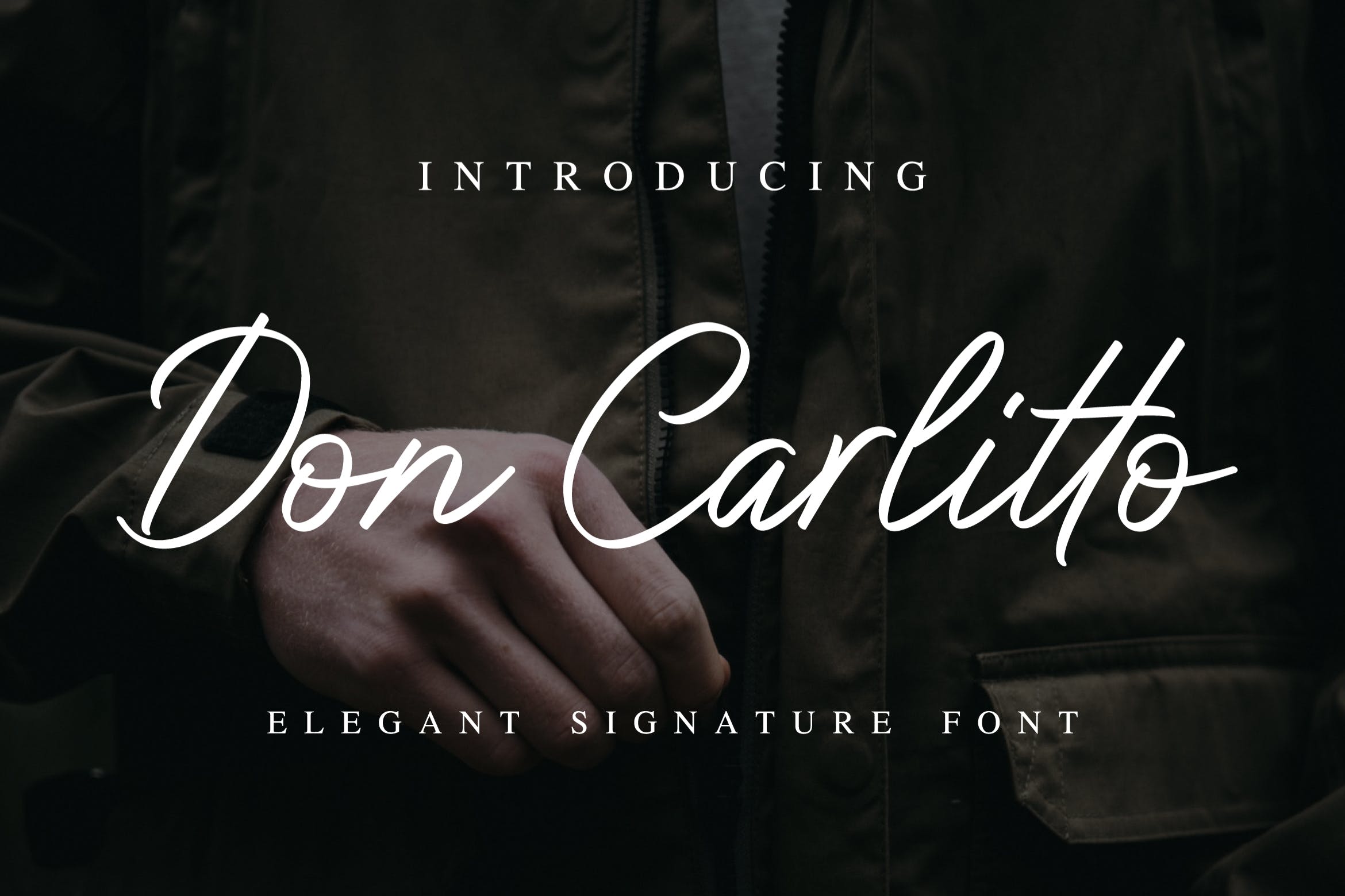 优雅钢笔签名书法字体下载 Don Carlitto – Elegant Signature Font插图
